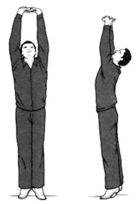 As Oito Peças do Brocado(Ba Duan Jin) é um conjunto de exercícios de Qigong (Ch i Kung) da Dinastia Song (1127-1279, China).