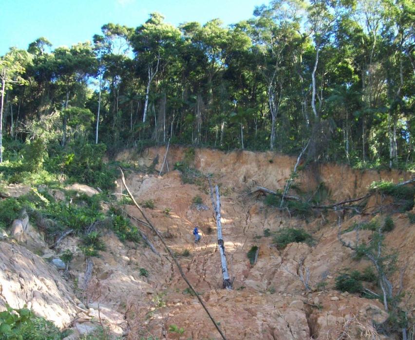 10 m Figura 4 Cabeceira de um dos escorregamentos na bacia do rio Cunha. 3.