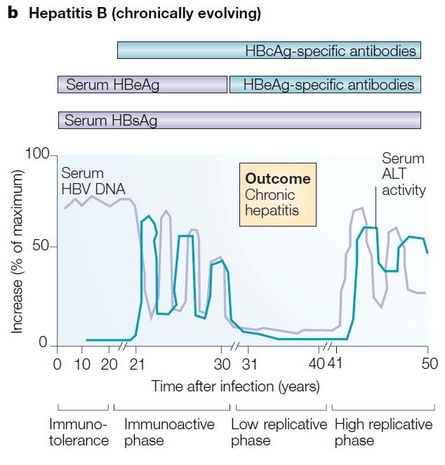 INFECÇÃO CRÔNICA Hepatite B