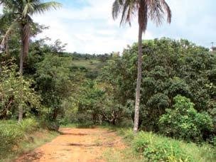 Deste, continuando em aclive por mais 900 m, em estrada mista de terra e asfalto, chega-se a um entroncamento onde está situada a Escola