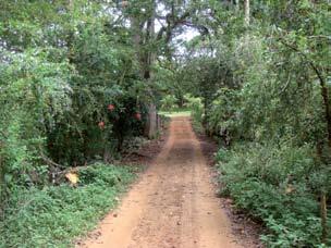 primeira porteira da fazenda.