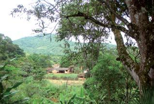 morro de grande altura coberto por mata fechada (f06).