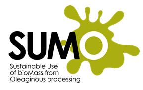 SUMO - Utilização sustentável de biomassa a partir do processamento de oleoginosas Objetivo: Desenvolver diferentes, mas complementares, rotas de valorização para o uso sustentável dos principais