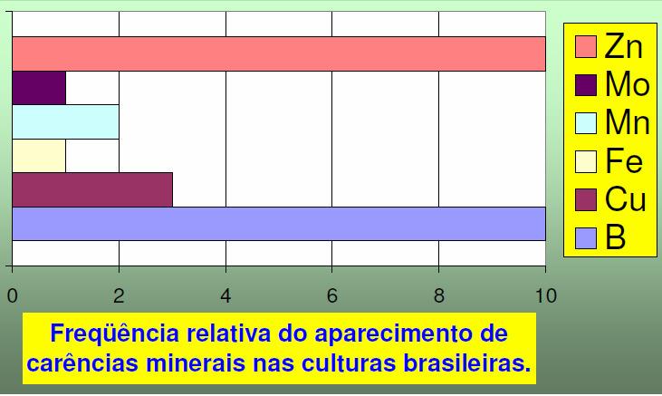 Introdução Couve-flor,