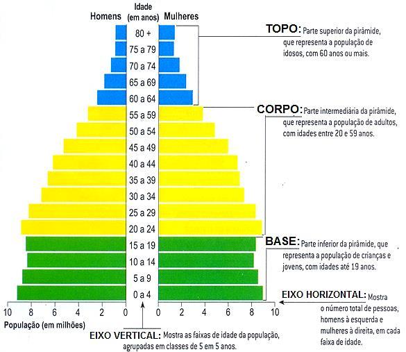 Estrutura etária da população São considerados três grupos principais. Jovens: 0 19 anos. Adultos: 20 59 anos. Idosos: mais de 60 anos.