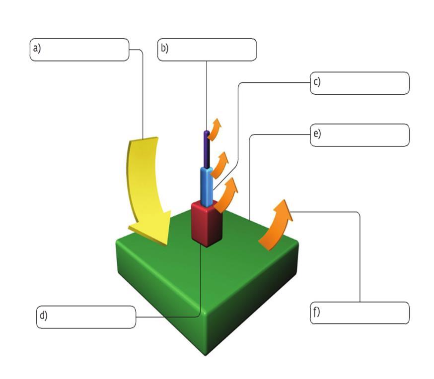 3 - Observe a teia alimentar a seguir e escreva qual é o nível trófico de cada um dos organismos representados.