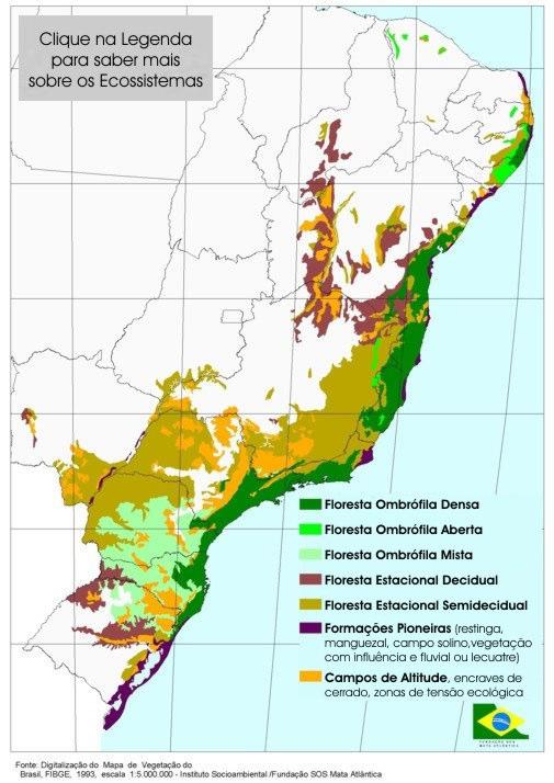 Impactos no clima e na cobertura vegetal no