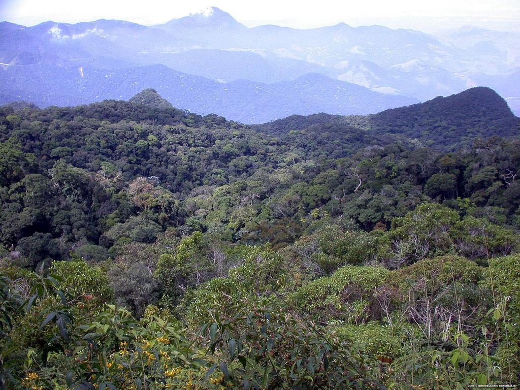 A área de ocorrência desse bioma é delimitada