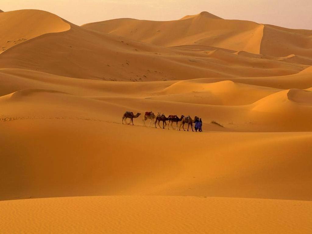 Os desertos têm em comum o fato de receber poucas e irregulares precipitações,