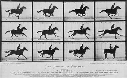 Sobre Arte e Artistas Eadweard