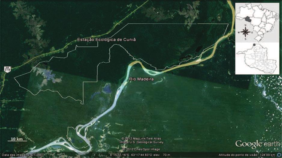 MATERIAL E MÉTODOS Áreas de estudo - Foram estudadas três áreas de Floresta Amazônica, localizadas no norte do estado de Rondônia, Brasil: - Estação Ecológica de Cuniã (ESEC) (Fig.