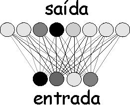 A determinação do neurônio vencedor em uma rede SOM pode ser feita utilizando diversas métricas.