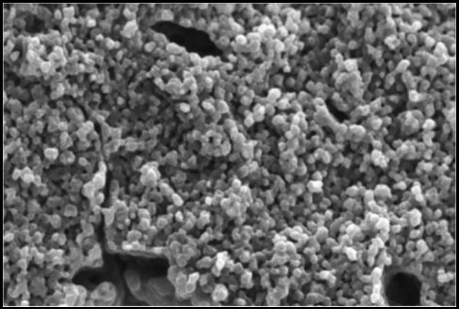 Fisiopatologia: Estrutura Óssea - Microscópica Substância