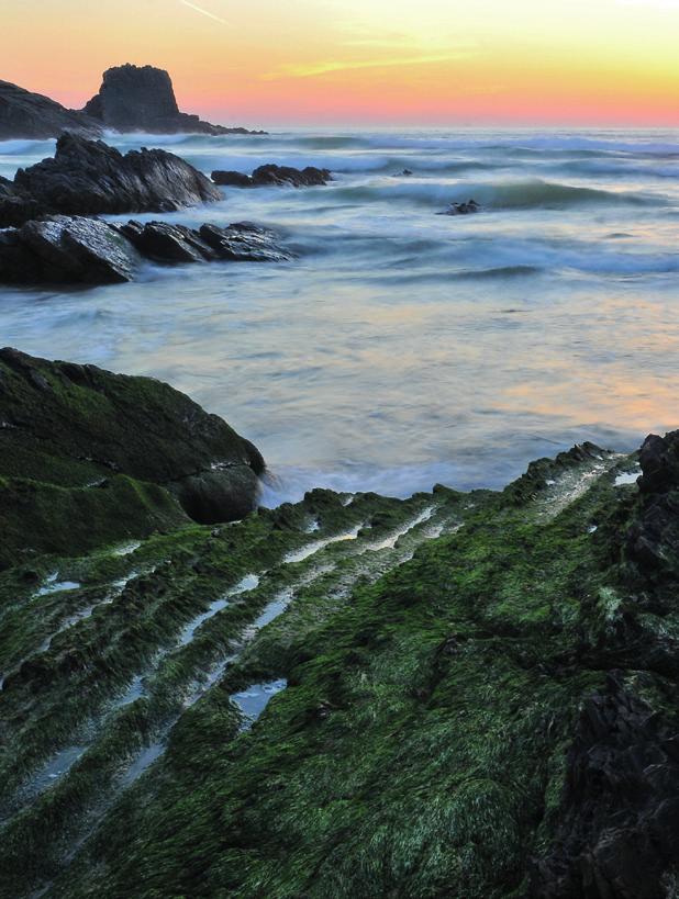 Várias gerações têm a referência da Zambujeira do Mar como a sua praia.