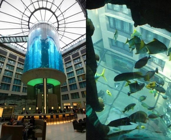 AquaDom (Alemanha): O maior aquário cilíndrico do mundo fica no interior do hotel Radisson, em Berlim. Inaugurado em 2003, possui 11 metros de diâmetro, 25 metros de altura, 900.