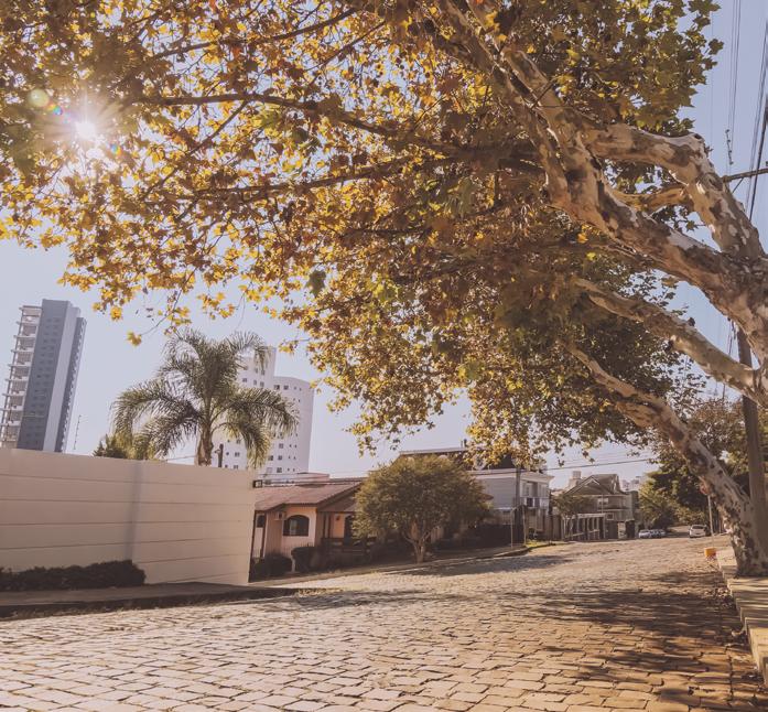 ambiental, acesso fácil, boas escolas e os