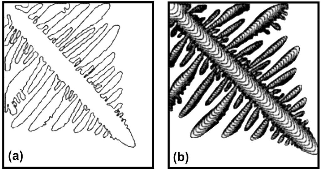 Análise numérica bidimensional da morfologia dendrítica do níquel e do ferro utilizando o método de campo de fase A velocidade da solidificação, em regime permanente da dendrita de ferro, comparada