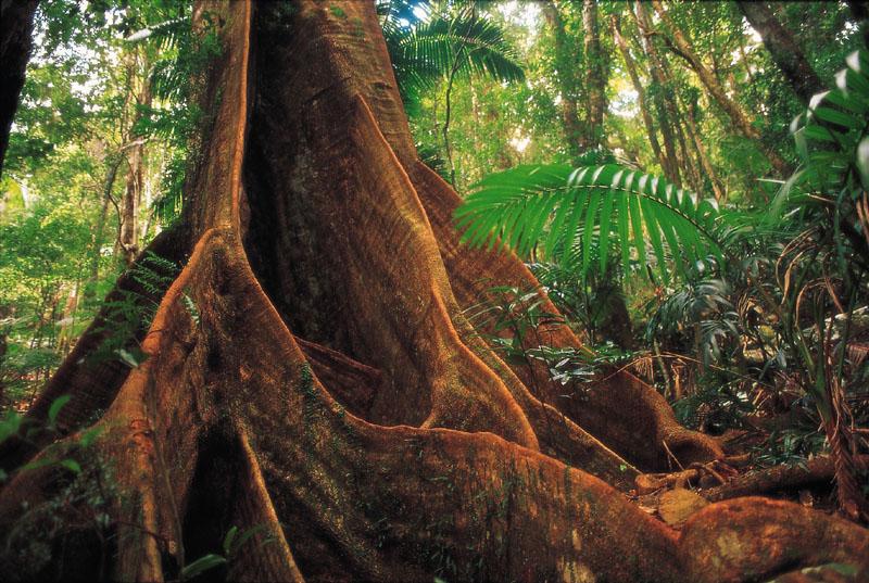 Sustentabilidade é uma jornada, não um destino.