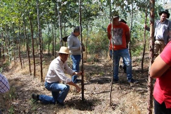 Acções de informação Sessões teóricas e práticas (sala e campo) com formadores das