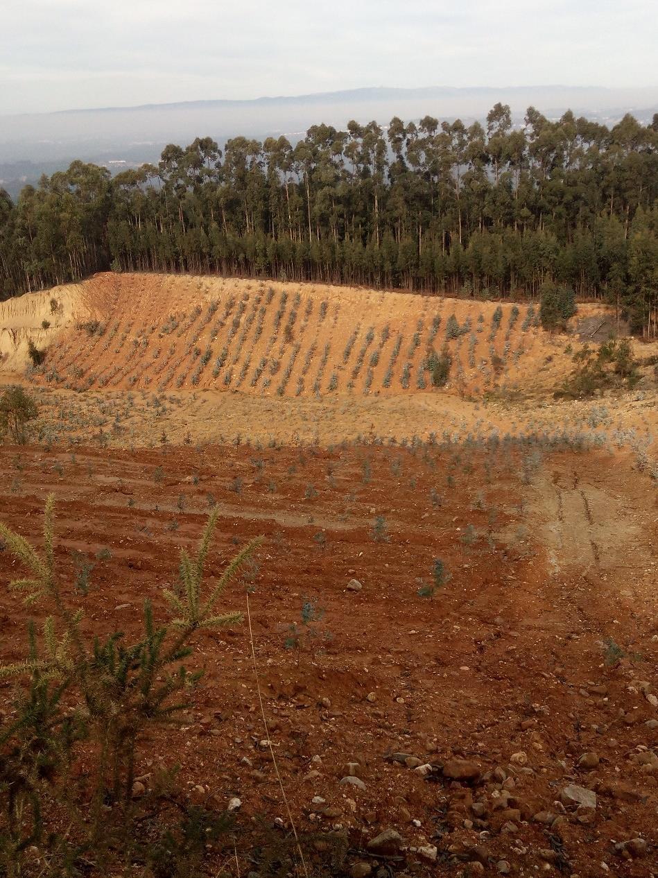 Inversão dos horizontes do solo, com balde Risco de erosão