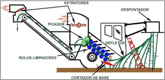 o depósito do material no transbordo como pode ser observado na figura 5. Figura 5 - Funções de uma colhedora australiana. Fonte: Braunbeck, 19