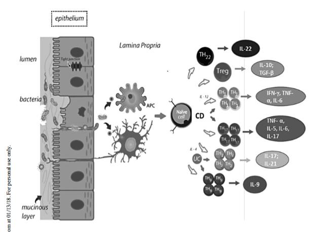 Fig. 2 - Representação da inadequada resposta inflamatória do epitélio