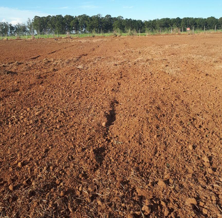 realizada após a aplicação do mesmo, no dia 16 de abril de 2018.