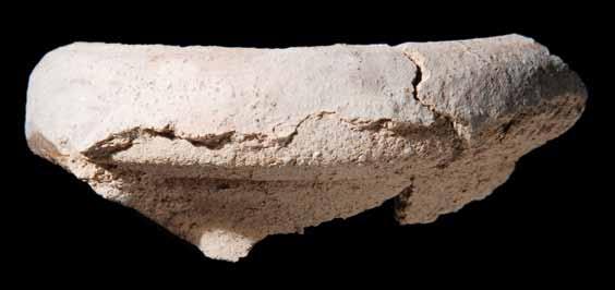 Fig. 93 Fragmento de bocal de ânfora do tipo Almagro 51C, importação bética. Século IV d.c. Villa romana de Oeiras. Comp. máx.