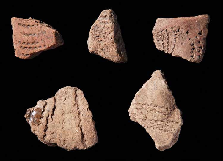 Fig. 16 Conjunto de cerâmicas cardiais ou afins do povoado do Neolítico Antigo do Carrascal.
