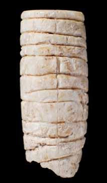 Fig. 24 Fragmento de cabeça postiça de alfinete de cabelo, decorado por caneluras, do povoado do Neolítico Final do Carrascal. Osso. Comp. máx.: 2,1 cm (CEACO / escavações dirigidas por J.
