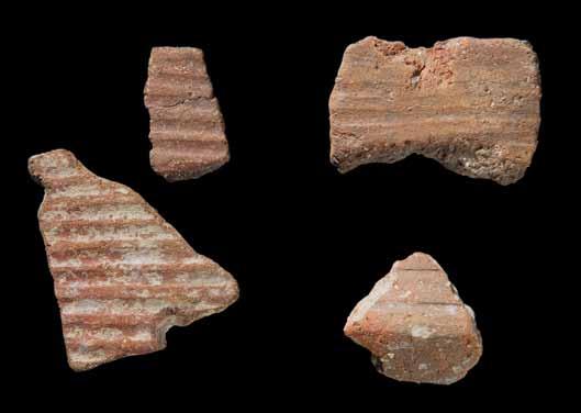 31 Conjunto de fragmentos de copos do povoado do Calcolítico Inicial do Alto do Dafundo.