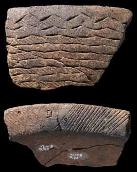 Fig. 55 Fragmento de bordo de taça Palmela com decoração incisa.