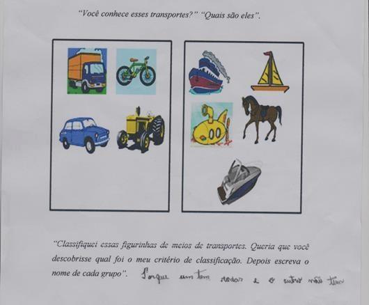 13 foi solicitado aos alunos que descobrissem o critério de classificação: estágio ou fase ou condição da flor.