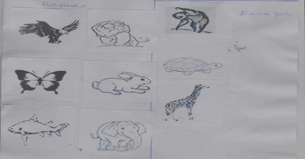 96 Na atividade C1 foi solicitado aos alunos que classificassem as figuras de animais a partir do critério velocidade.