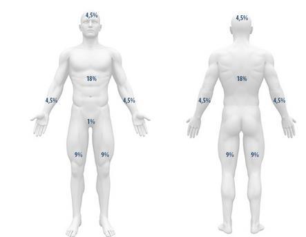 Figura 1. Porcentagem da área de superfície corporal no adulto 1. Figura 2. Porcentagem da área de superfície corporal na criança 1.