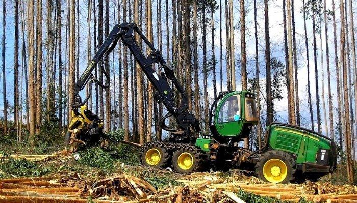 Demais profissionais da Categoria Agronomia mediante análise curricular efetuada pela Câmara Especializada.