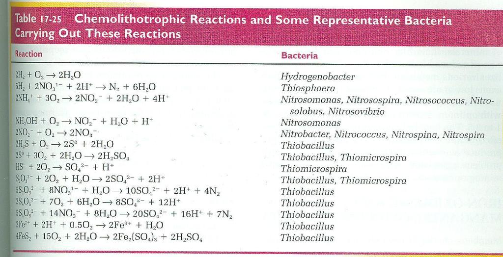 Reação quimiolitotróficas de algumas β-