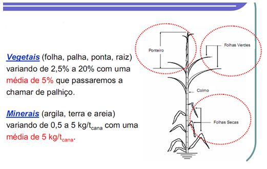 4 RESULTADOS Abaixo se apresentam resultados obtidos pelo uso da limpeza a seco por ventilação no preparo da cana Figura 46.