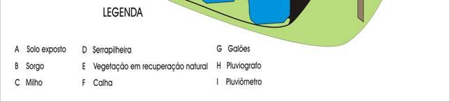 de altura e perpendicular ao chão. As imagens foram analisadas com o software ENVI 4.