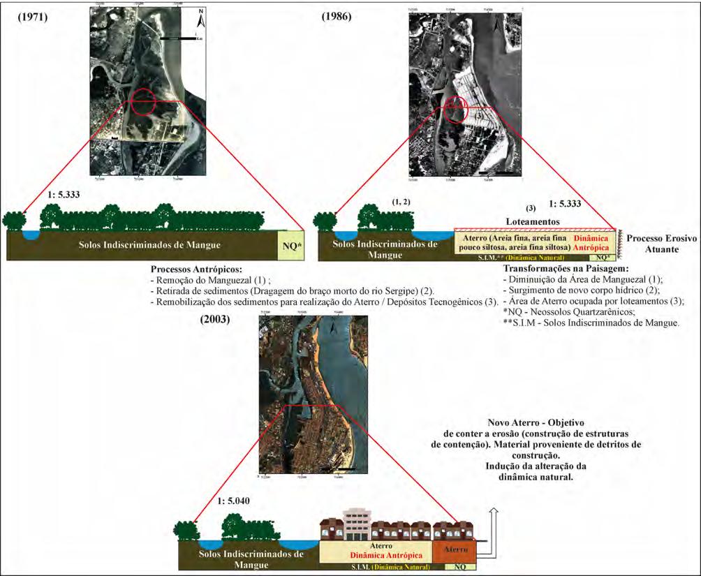 Figura 7: Processos tecnogênicos no bairro Coroa do Meio. Fonte: Fotografias aéreas de 1971 e 1986; Imagens de Satélite de 2003. 5.