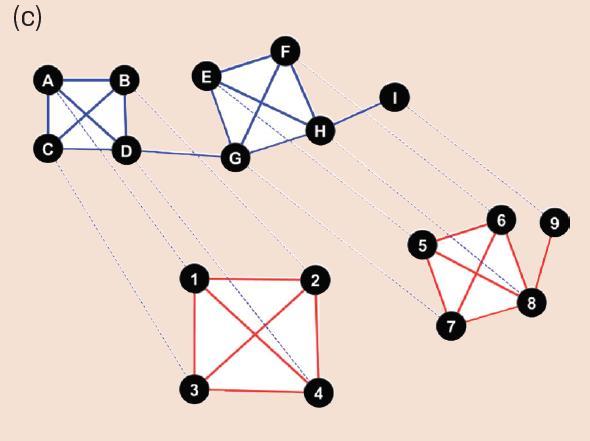 Tipos de busca por similaridade