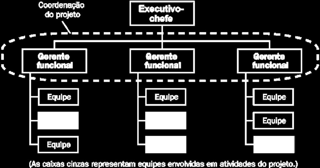 Estrutura Organizacional Organização Funcional (Functional Organization) É uma hierarquia em que cada