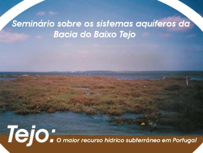 ASPECTOS QUANTITATIVOS DOS SISTEMAS AQUÍFEROS DO BAIXO TEJO Manuel Mendes OLIVEIRA Geólogo, LNEC, Av. do Brasil, 101, 1700-066 Lisboa, Portugal, (+351) 21 844 3436, Email: moliveira@lnec.