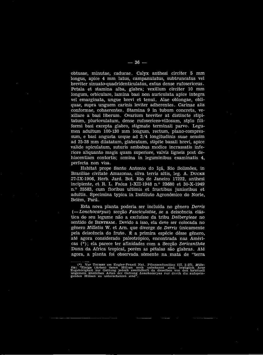 até agora considerado paleotrópico, encontrada nas Américas (*); ela parece ter afinidades com a Secção s e r ic a n tn a e Dunn da Africa tropical, porém as pétalas