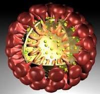 SARS Coronavirus, vírus de RNA. Transmissor Aerosóis de saliva ou gotículas de saliva.