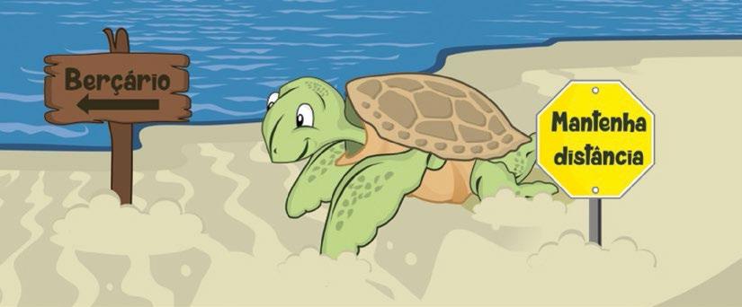 Não se aproxime de uma tartaruga marinha quando