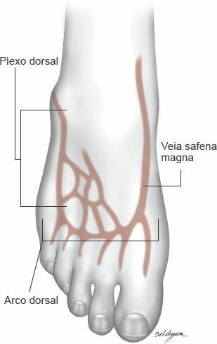 no dorso da mão.