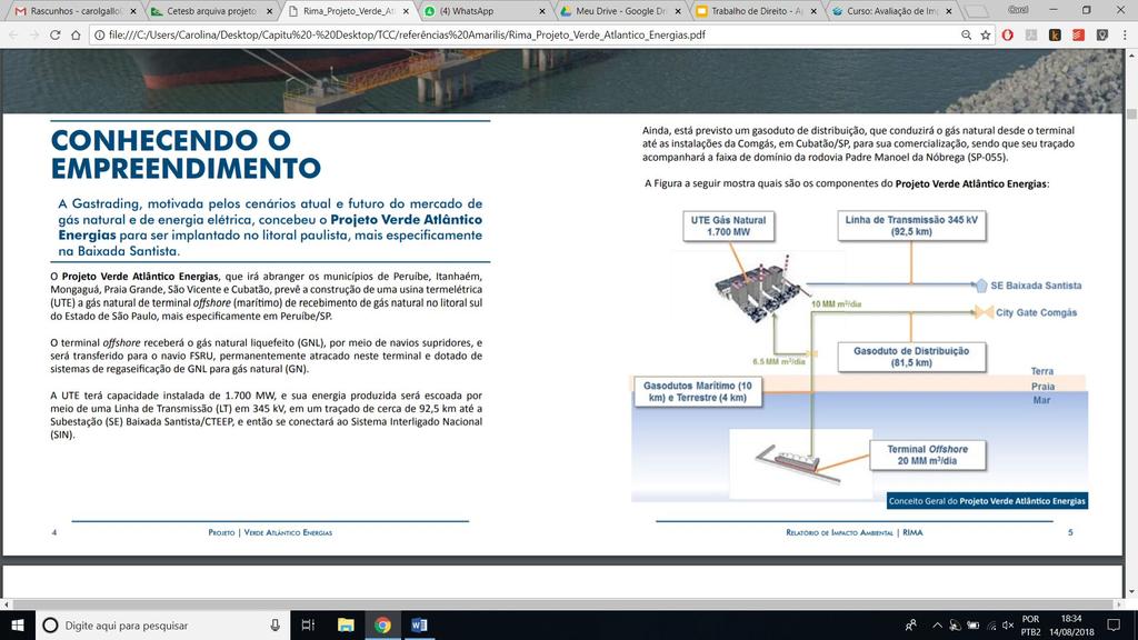 Projeto Verde Atlântico Energias Estudo de impacto ambiental questionado na Justiça