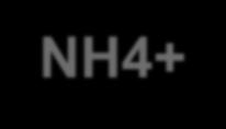 10-5 (K b >> K a ) NH 3(aq) + H 2 O (L) NH 4 + (aq) + OH - (aq) ; (0,200 x) (0,300 + x) x K b = 1,75.10-5 (2,00.