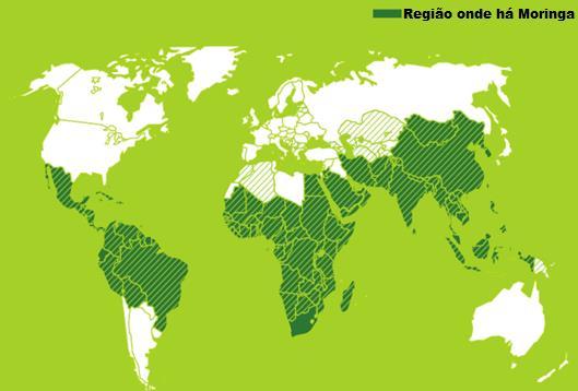 Figura 3.20 Moringa oleifera no mundo (SFA, 2015). As maiores plantações de moringa estão na Ásia, que produz em torno de 80% de toda moringa no mundo.